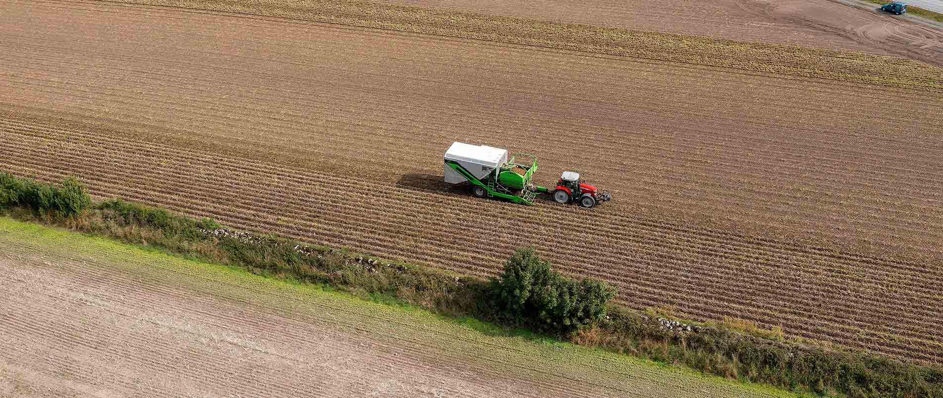 “探、收、烘、运”，看ag凯发旗舰厅如何四管齐下一站式保障秋收果实