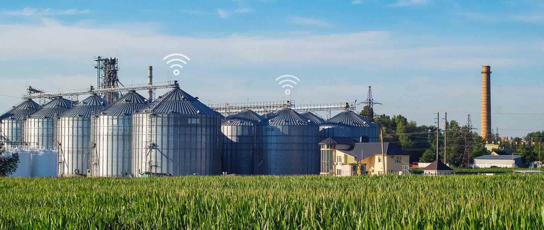 ag凯发旗舰厅助力夏粮存储新招式，科技手段更有效