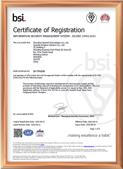 ISO/IEC 27001：信息安全管理体系