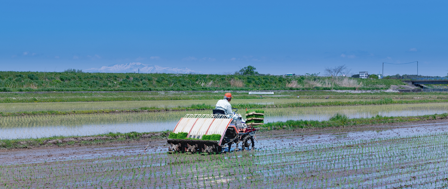 农机水田作业的“智慧大脑”——沃地泰FMA210，告别“经验种植”，开启精准高效农业之旅